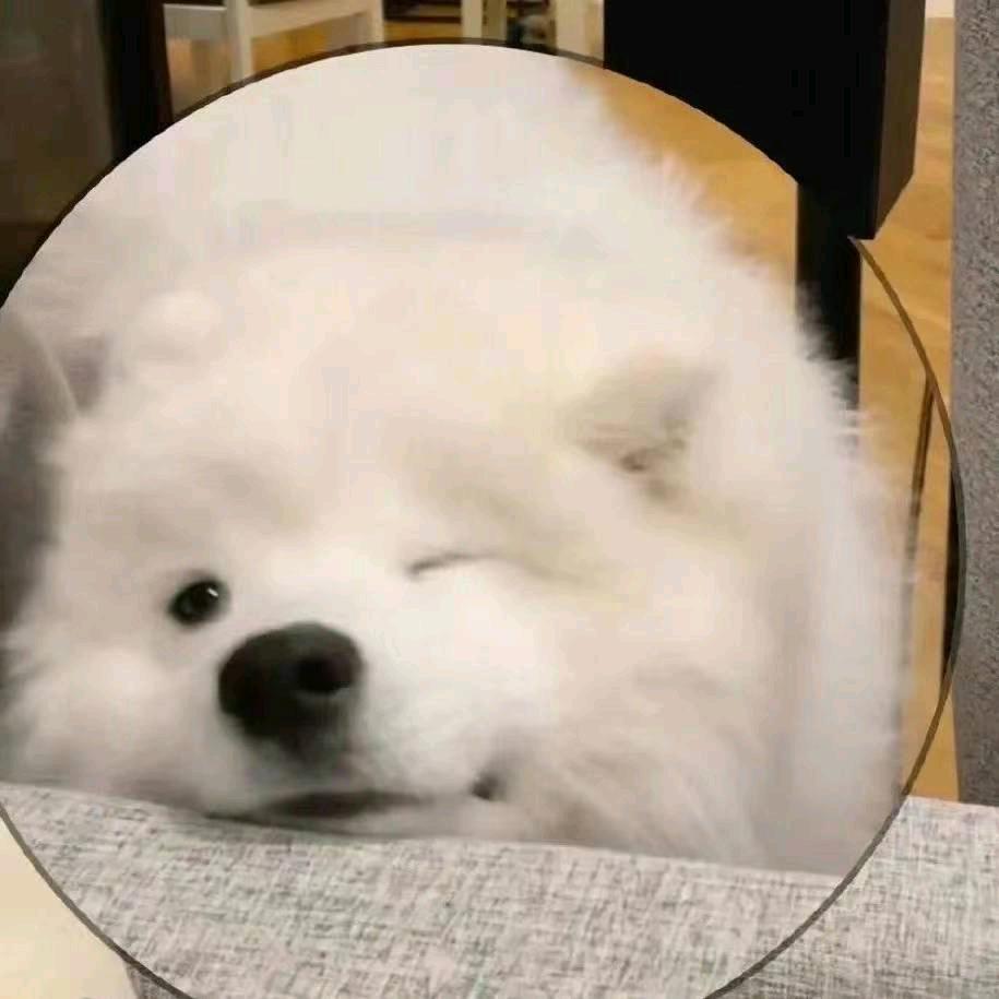 脑袋空空•猫咪生活馆