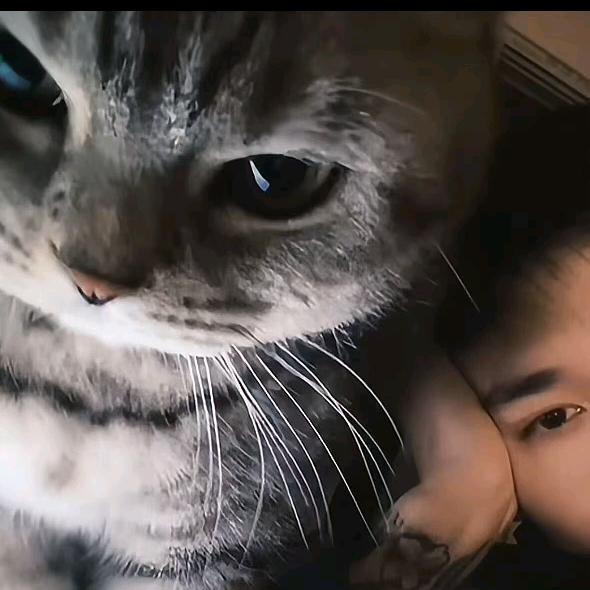 爱抽钰熙