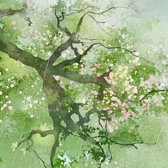 爱上一朵兰芝花。