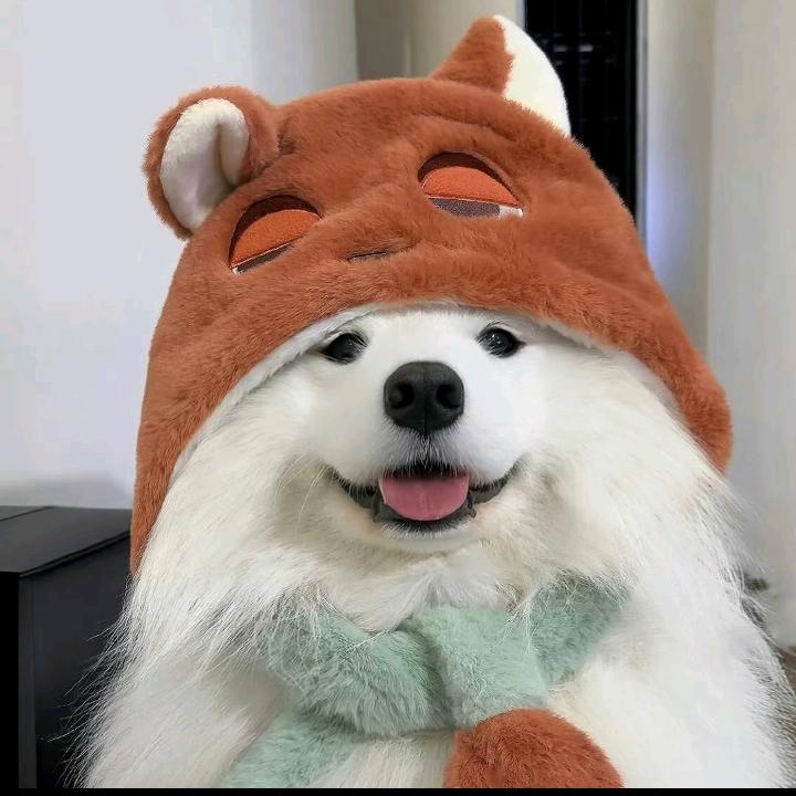 快购熊超市枫泾店