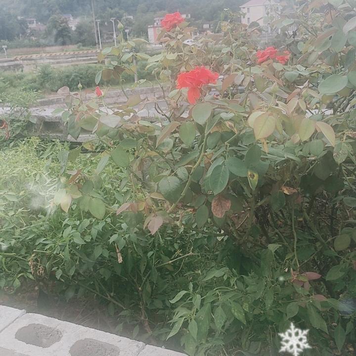 人生一世不容易