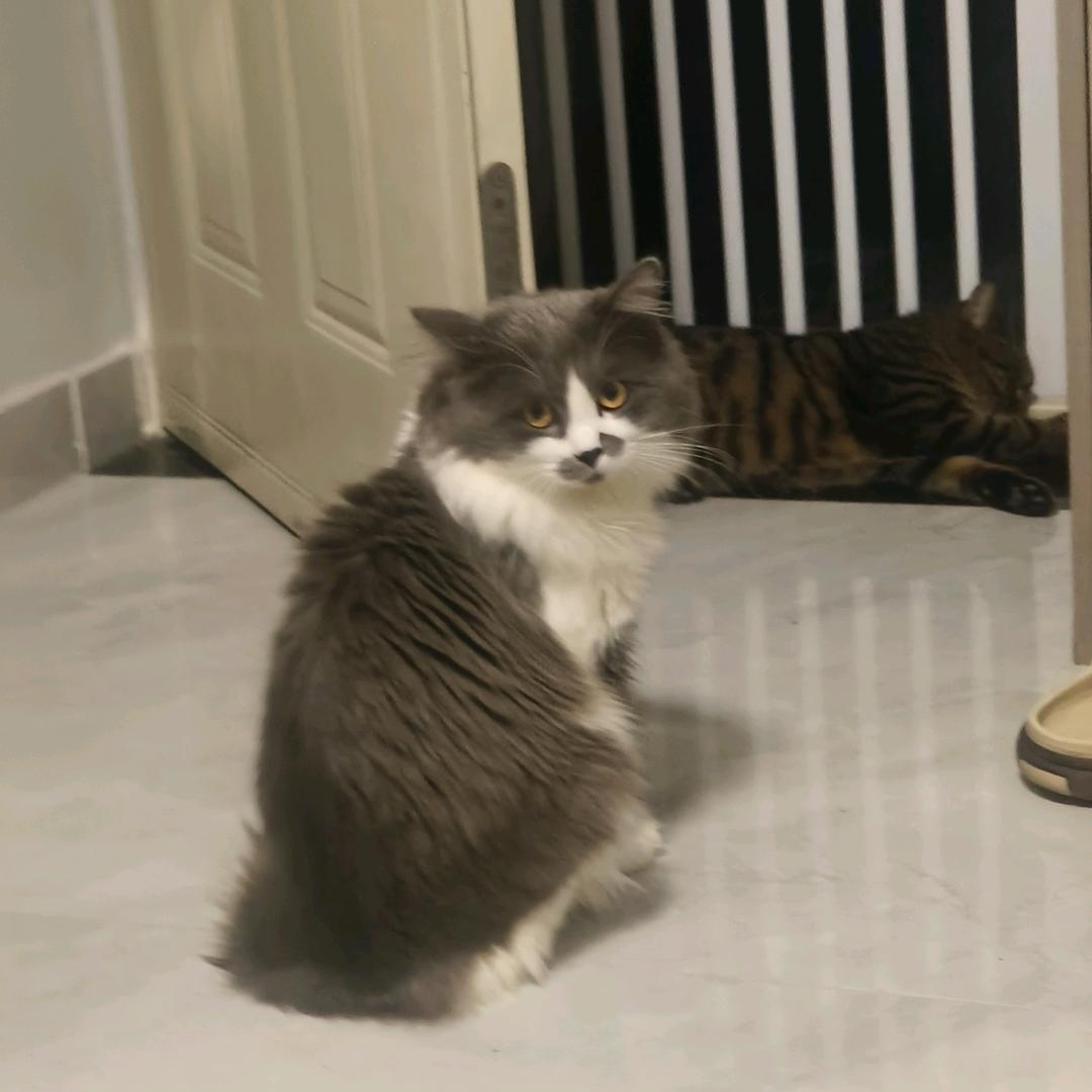 事要蒋蒋好☀️