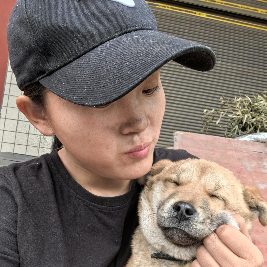 记录它们的故事