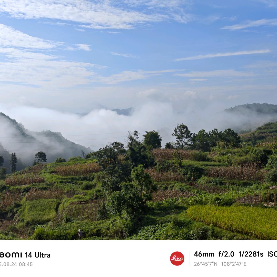 你好，请叫我小田