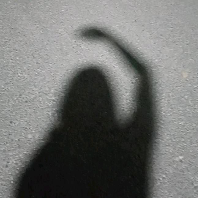 虾死我怎么办