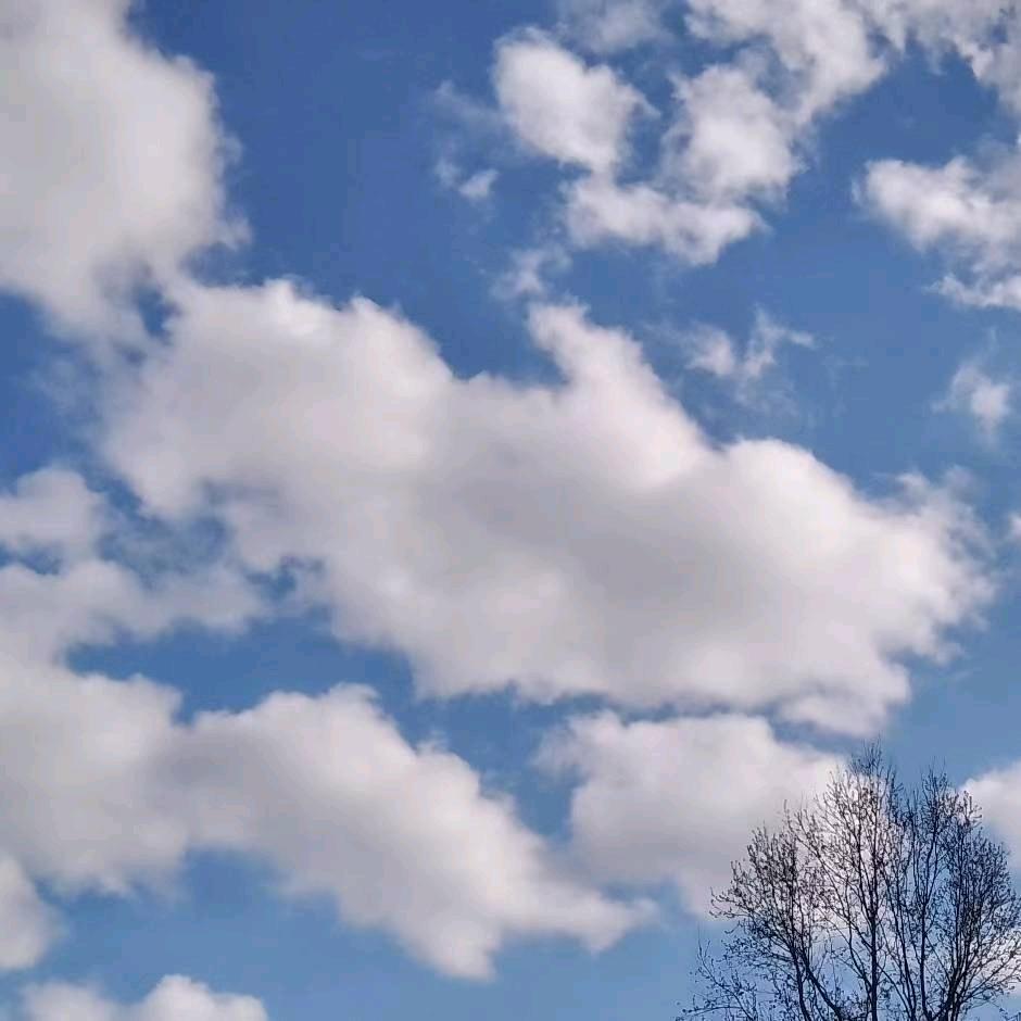 (◦˙▽˙◦)