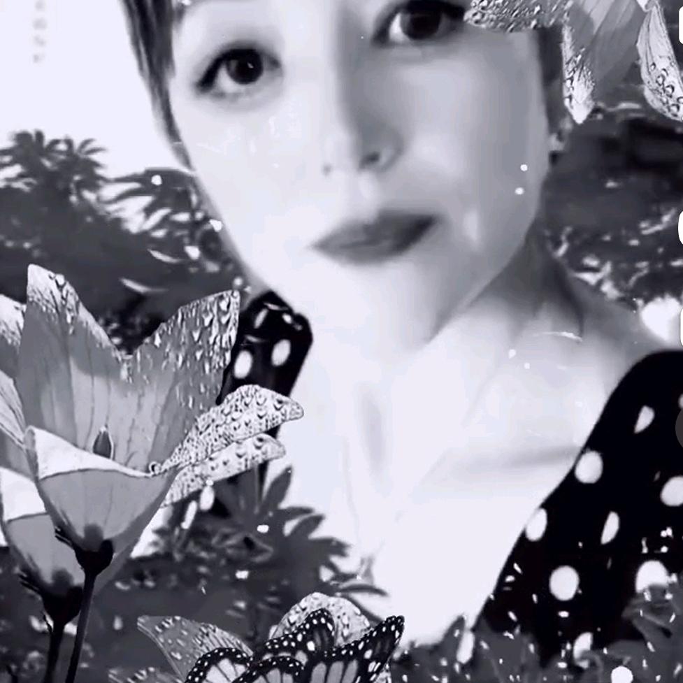 陈，南阳🌹不爱我不要伤害我🌹