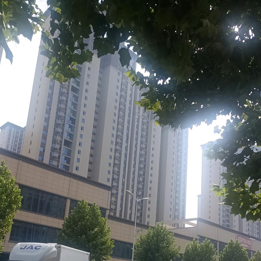 陶小淘