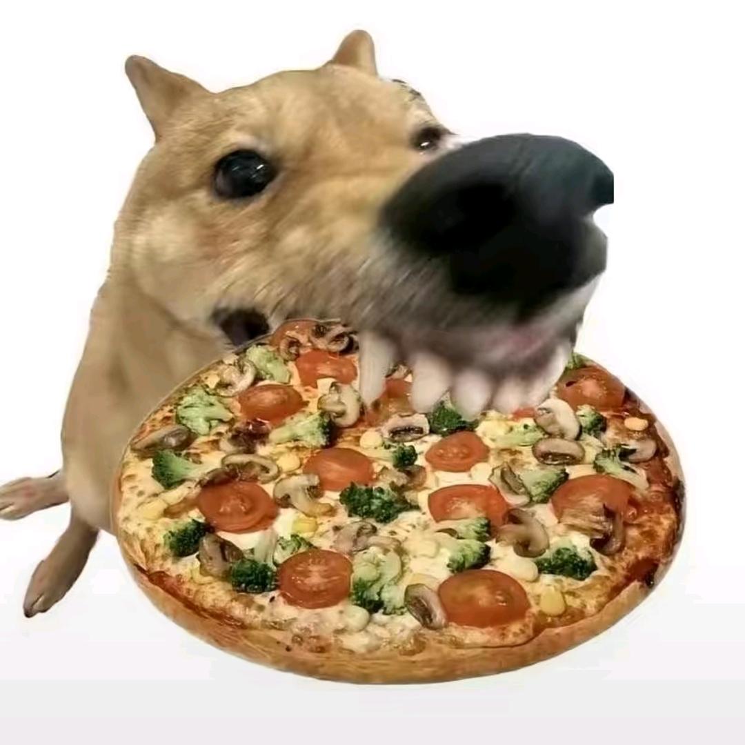 菠隆头像