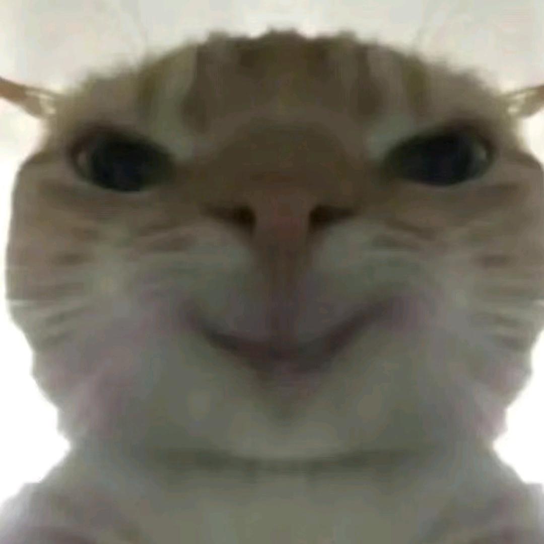 银杏