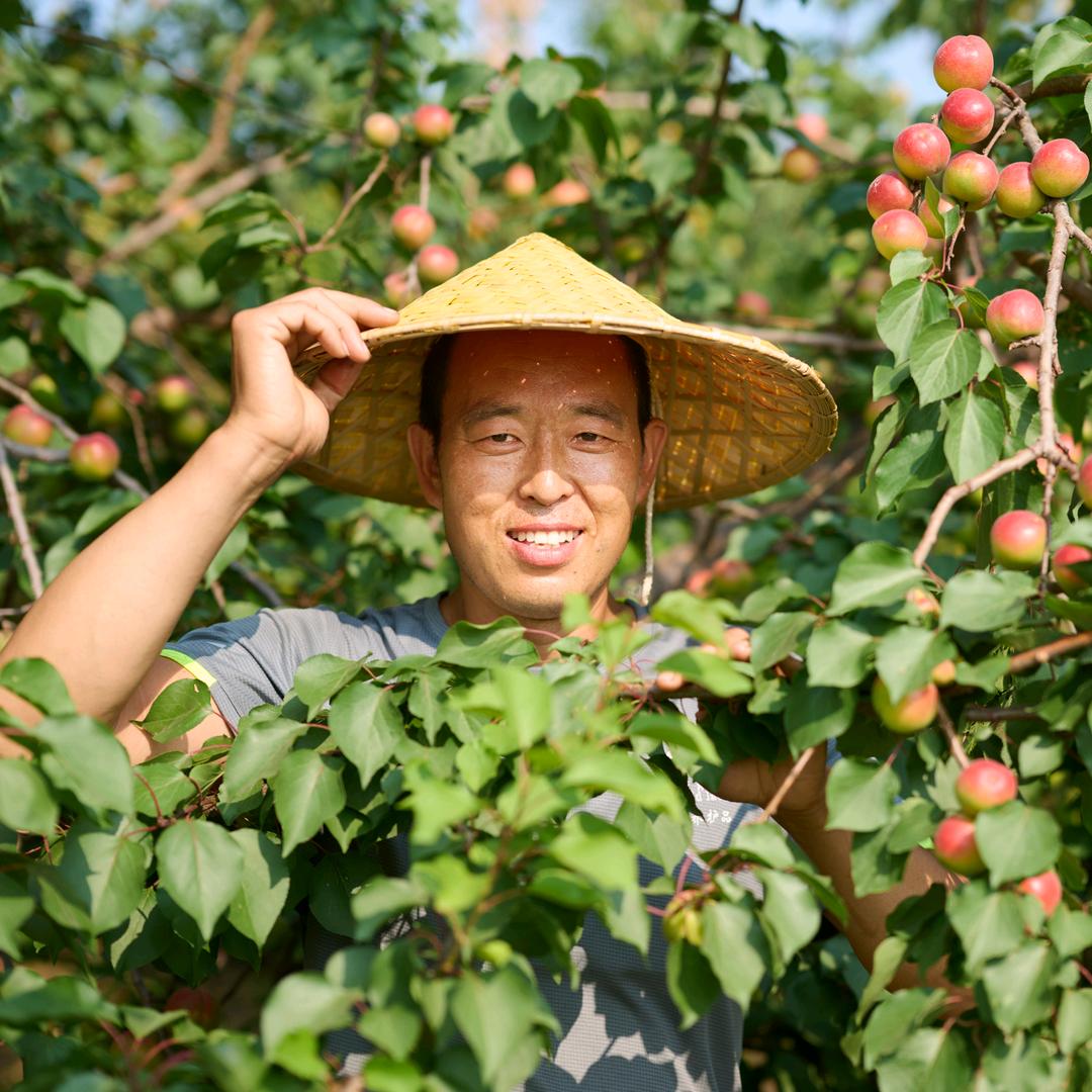 农大果园管理 瓜果蔬菜技术分享