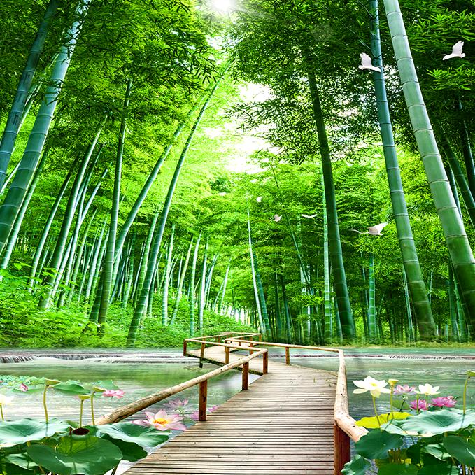青云峰