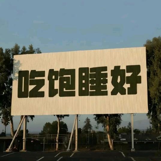 真丝小宝总(大码微胖女装)