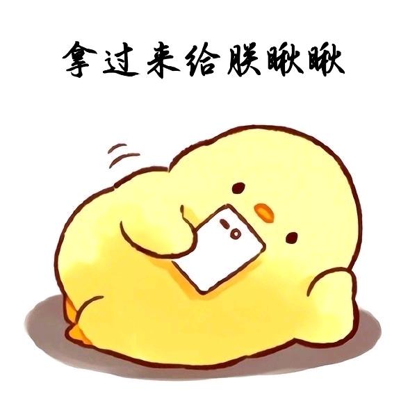🌈仙仙快跑zz