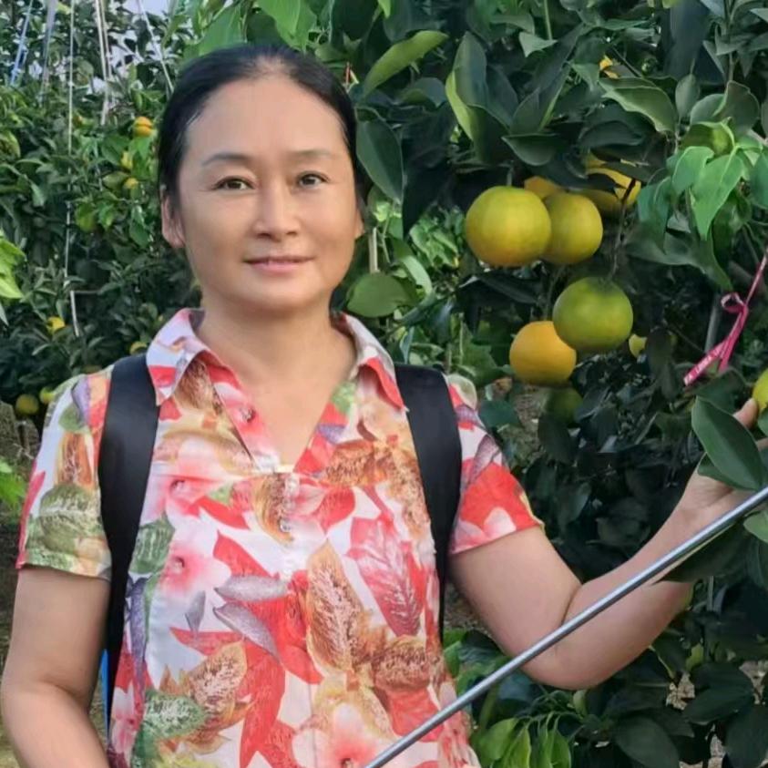 徐老师说柑橘