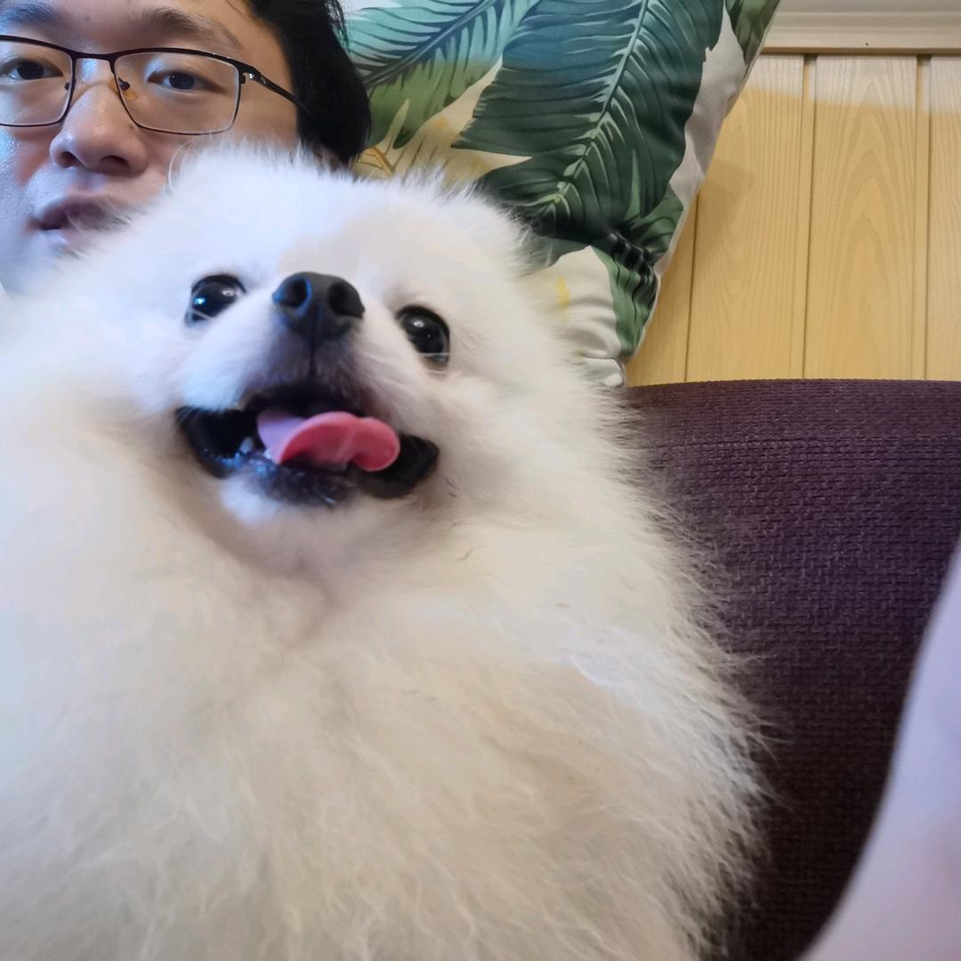 潞