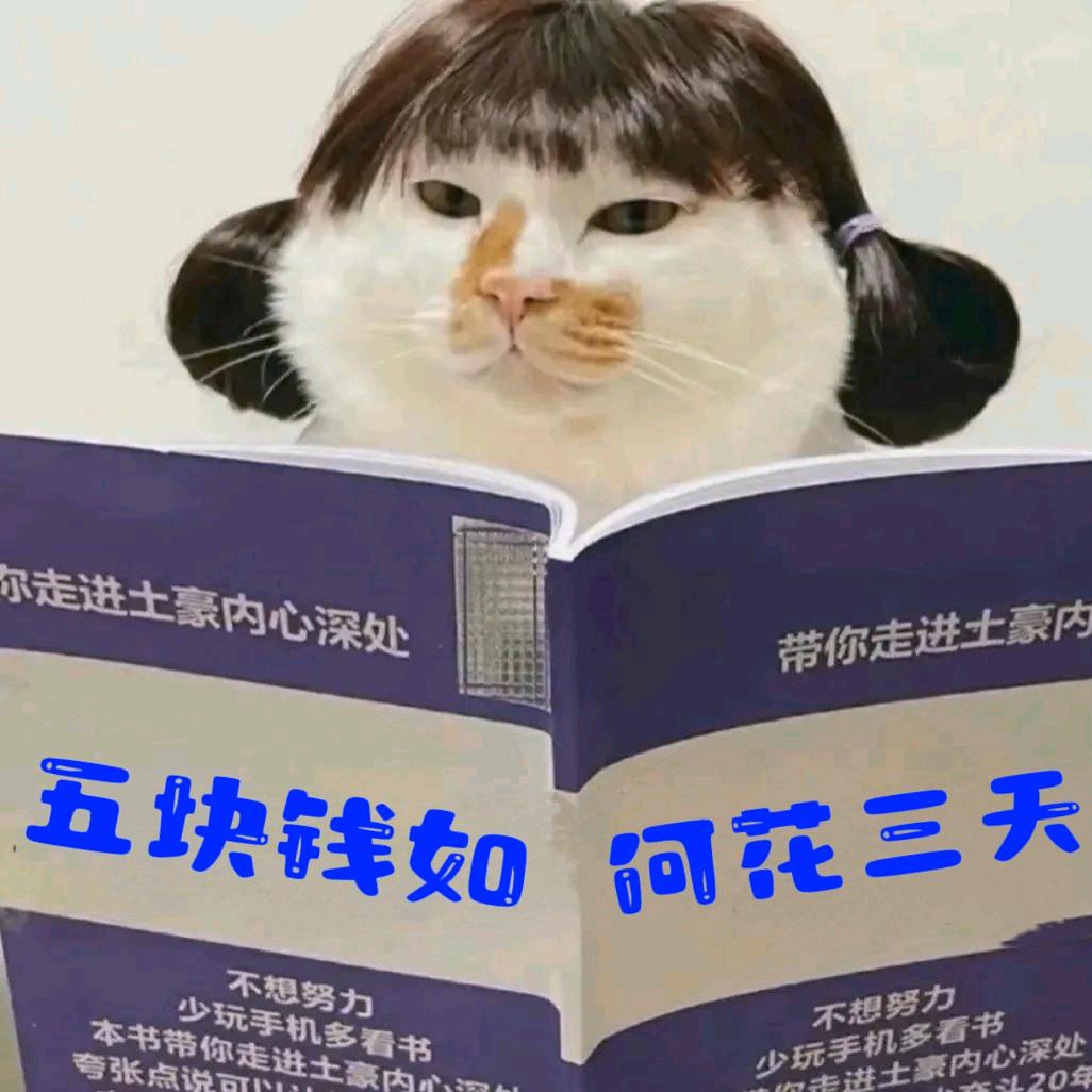 爱露营的毛甜