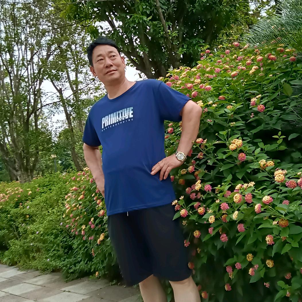 一只孤雁。