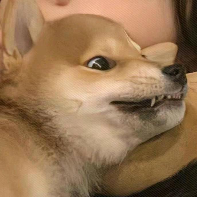 千浔玖
