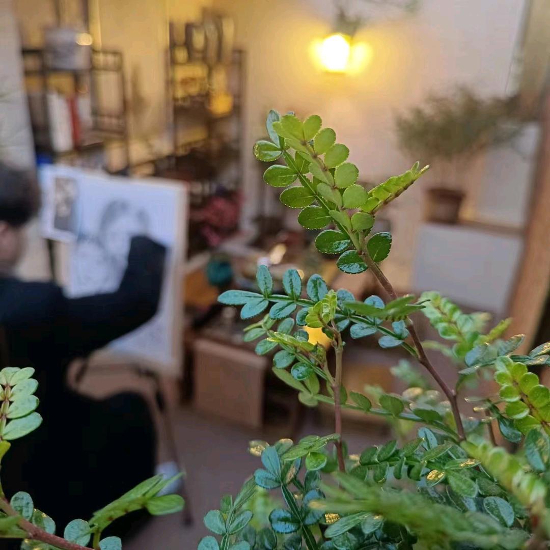 旧时光