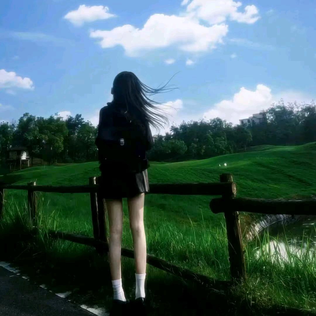 夏日诗☘️