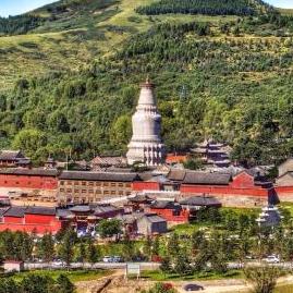 五台山妙真（学业助力）