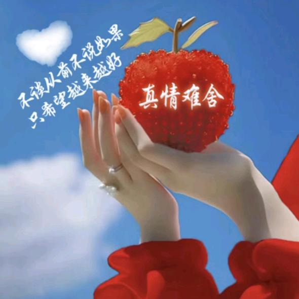 真情❤️永恒