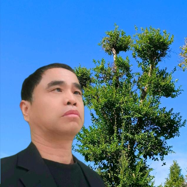 九思来了