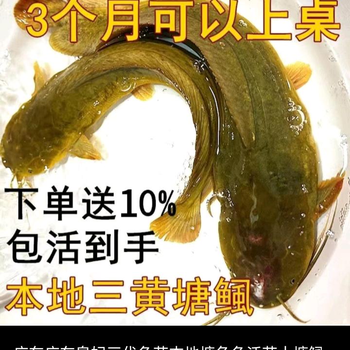 专打油烟机孔（洪湖）