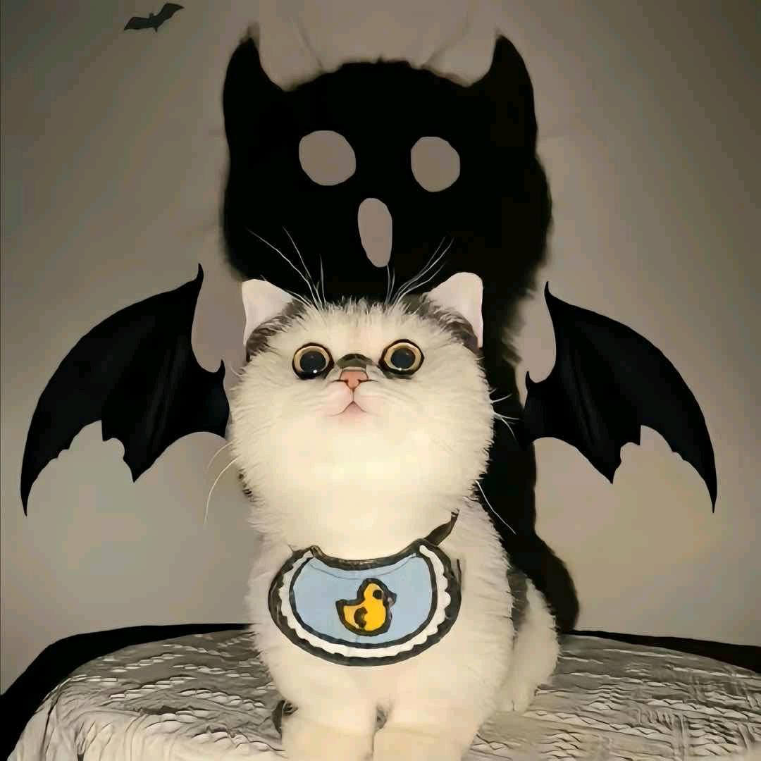 XFYTR