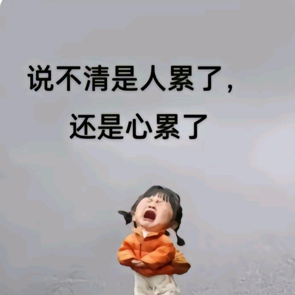 一切随缘