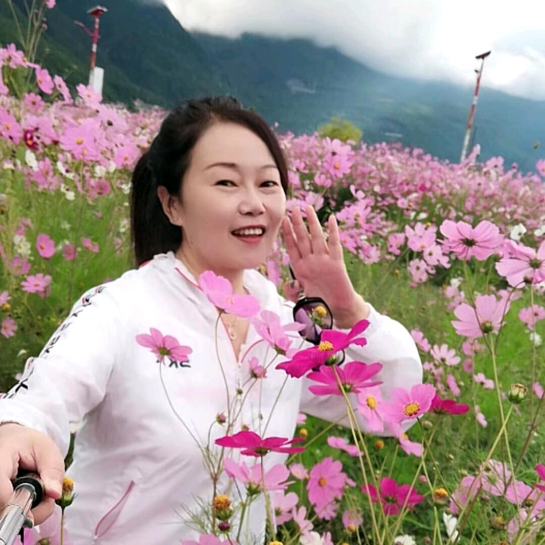 爱佳
