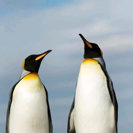 余生，记的爱自己