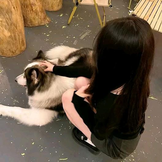 颖妍琳