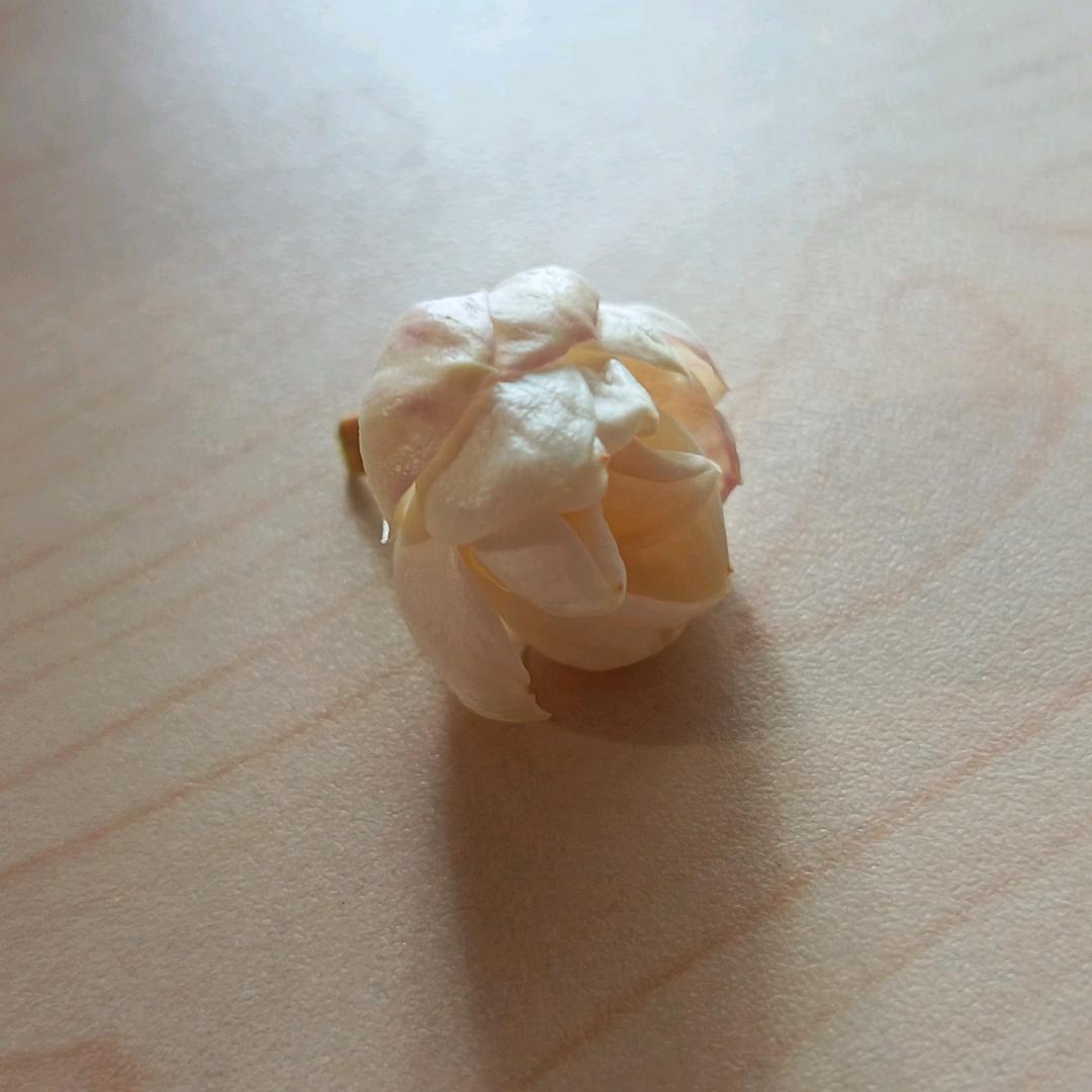 雪儿化妆甄选