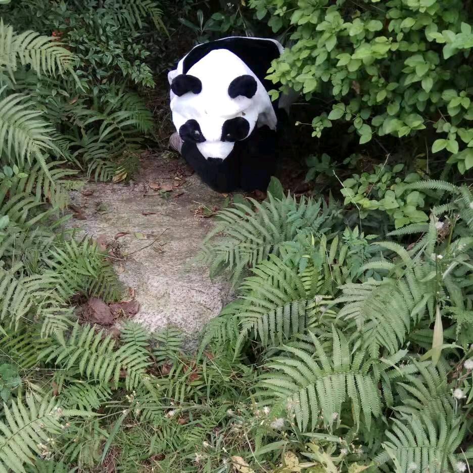 🌈黑暗中的灯光🌈