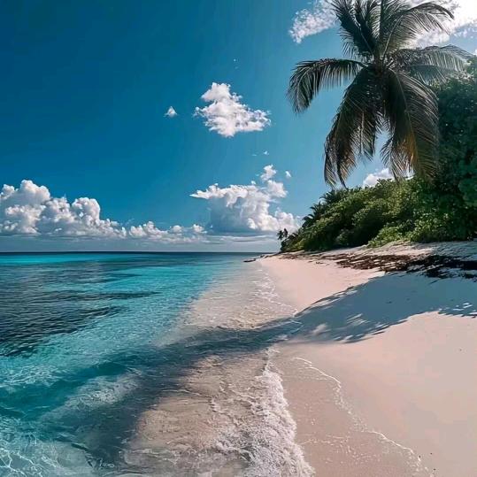 且将心结系云帆，随风散作星河叹