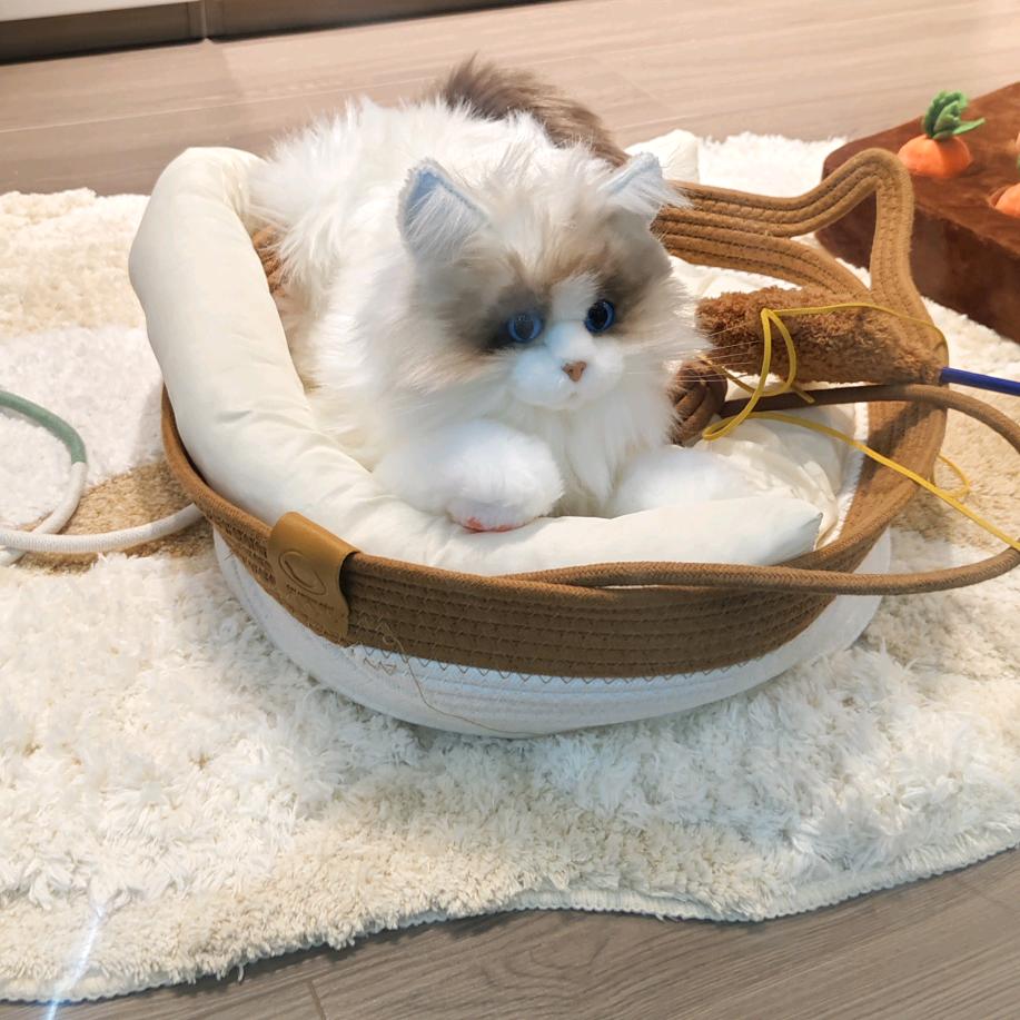 雪之下森夏