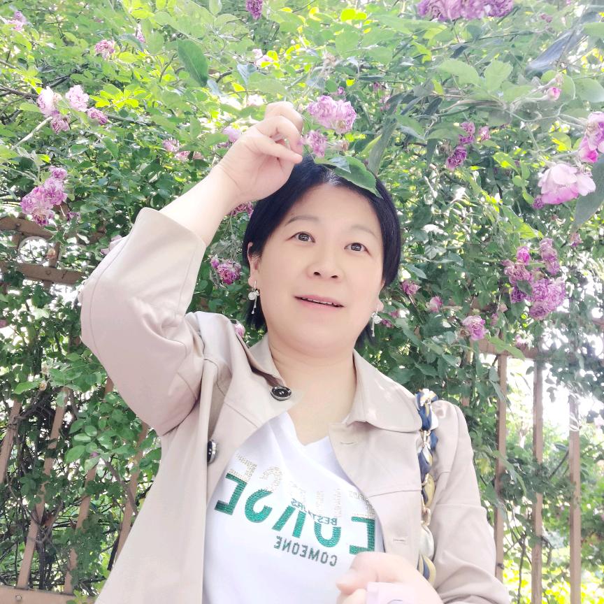 紫舞飞扬