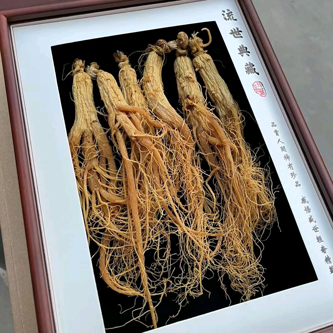 梦而已