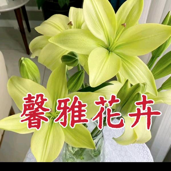 大庆馨雅花卉