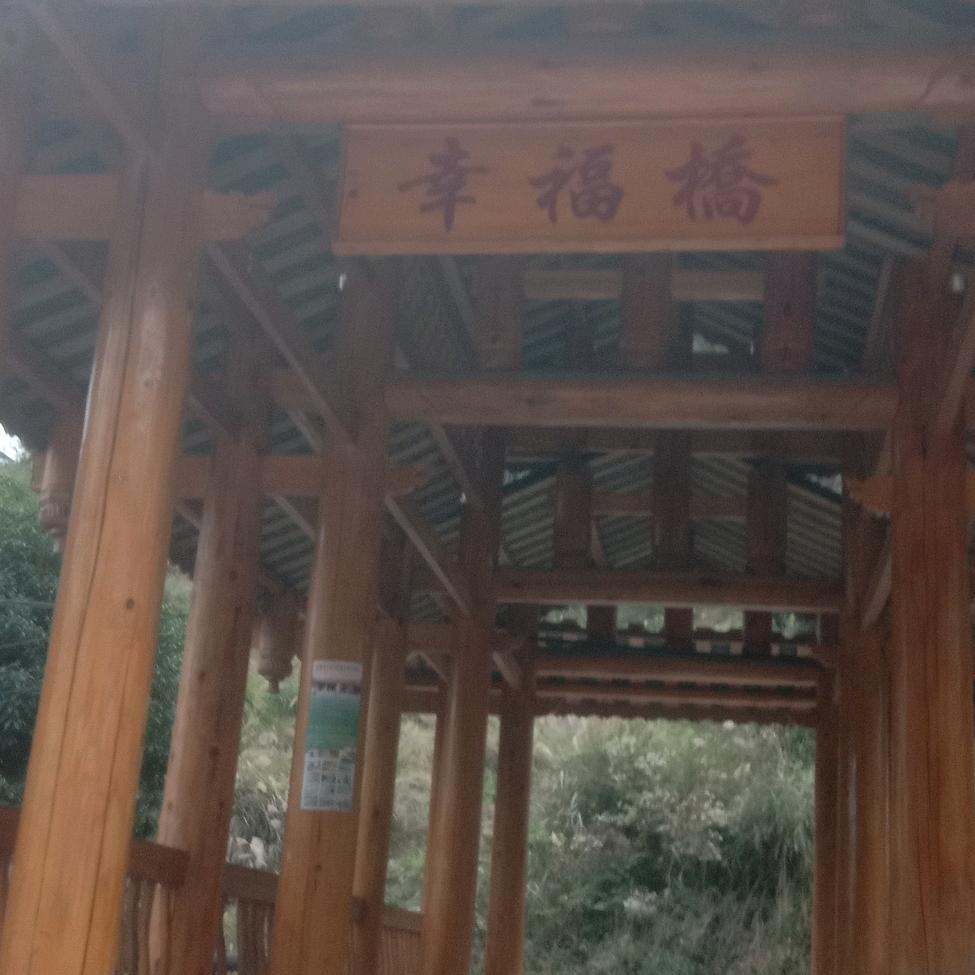 駱哥