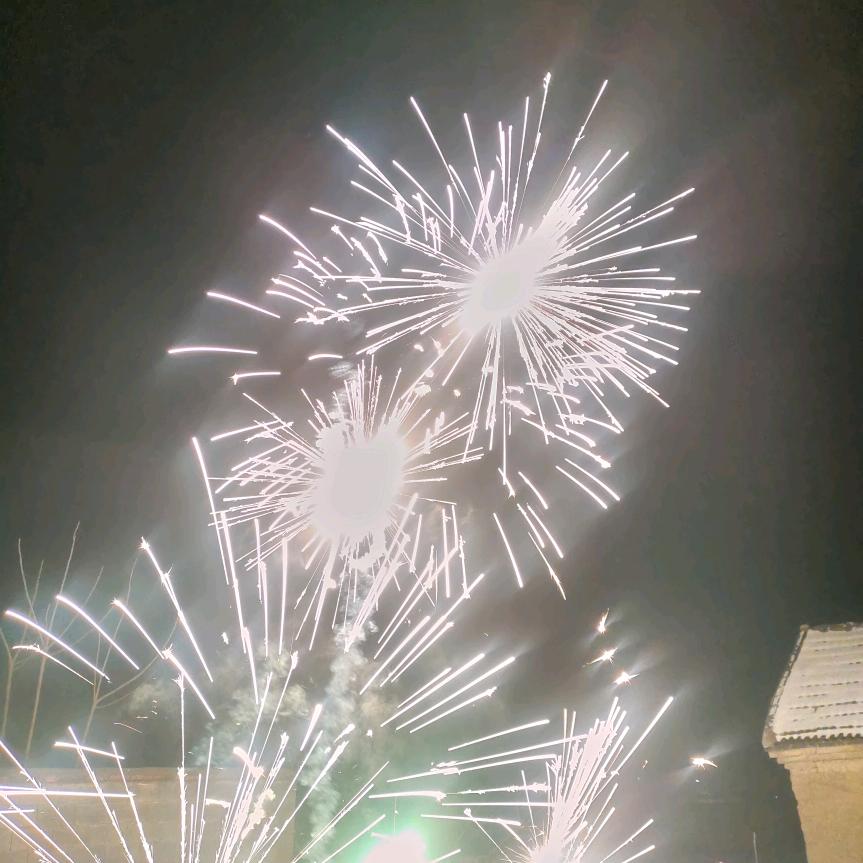 倔强的牛肉包子