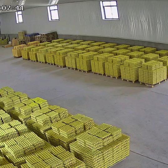 新兴旺养鸡专业合作社