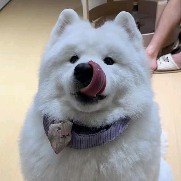 坦克伍六七头像