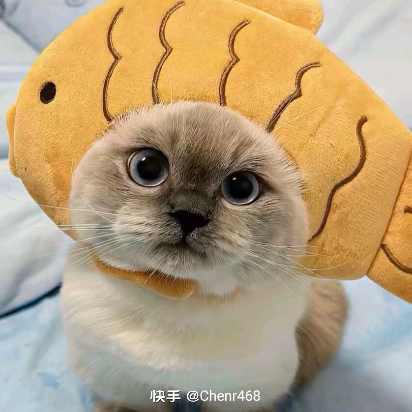 幸福一家人