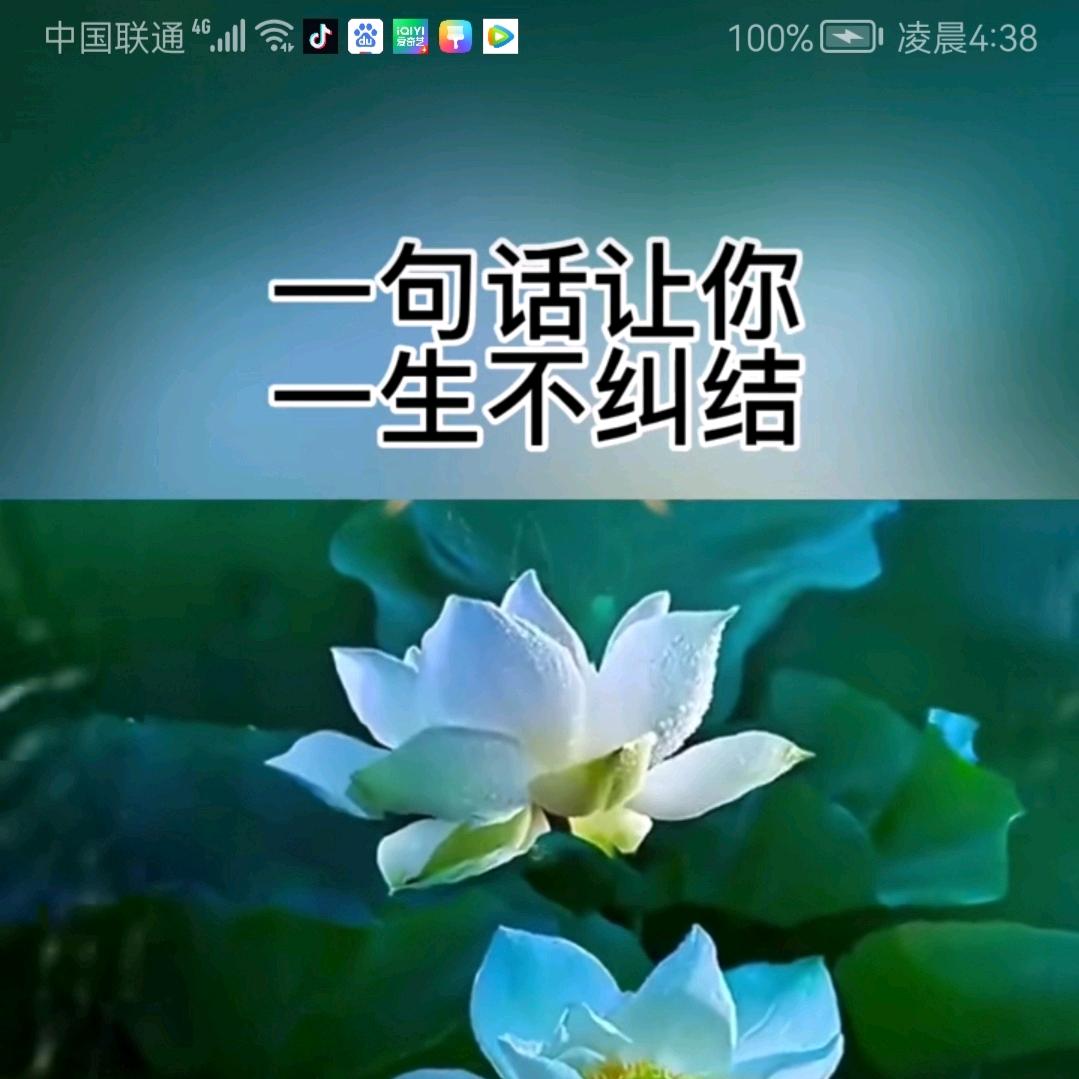 臻姐