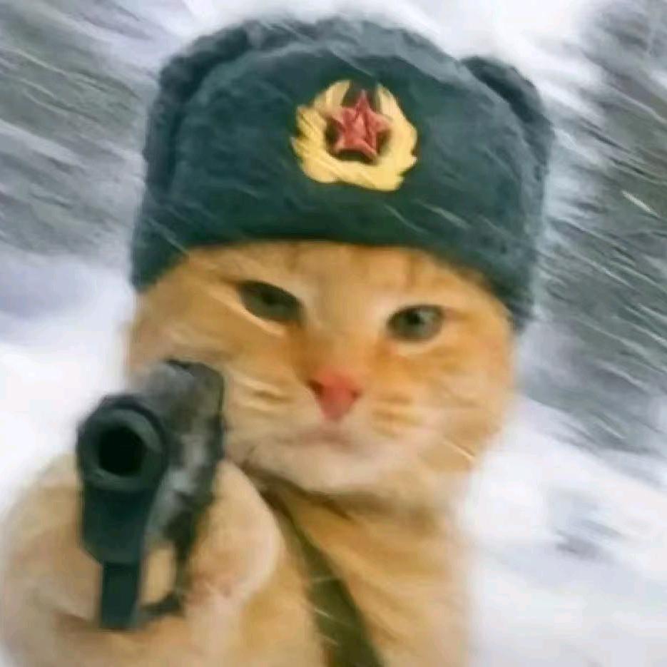 biu  biu  biu