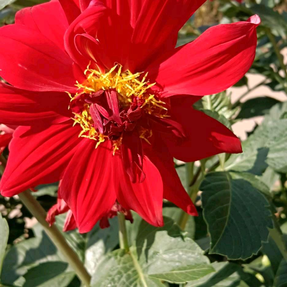 远粮河畔。。。。。