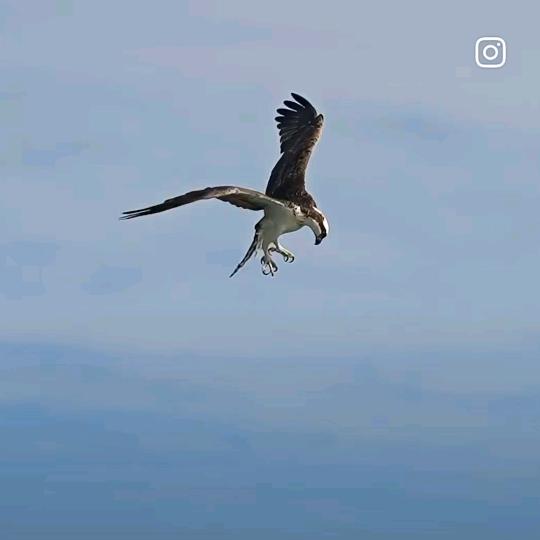 走适合自己的路。